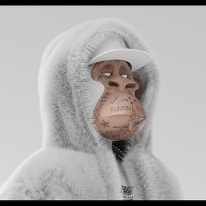 Meet your Posher, Owen